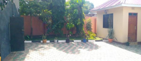 Rainforest usa river homestay